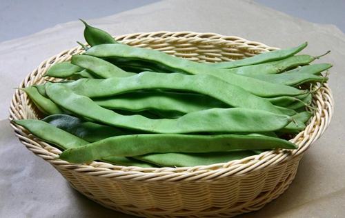 扁豆