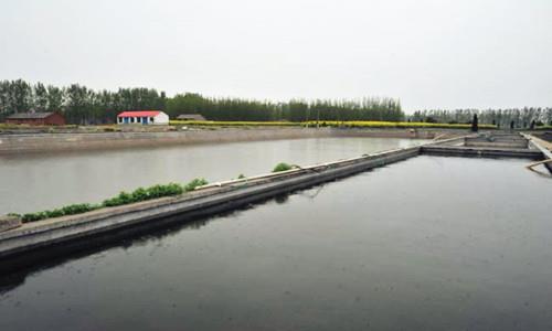 淡水鱼养殖基地