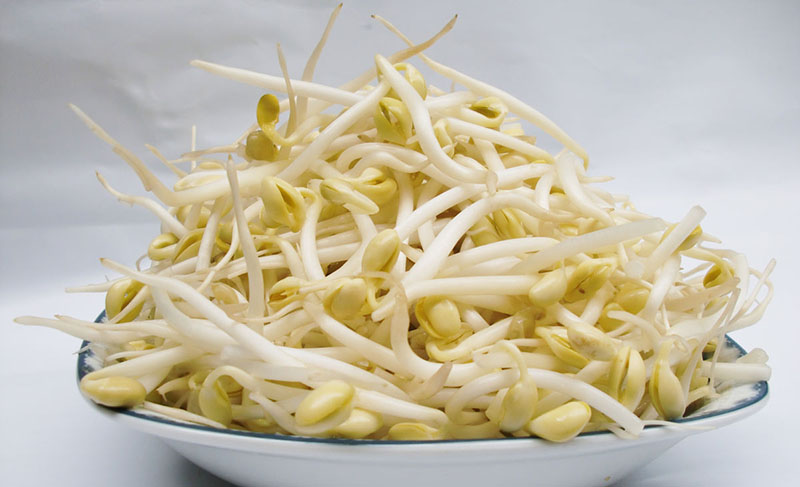 黄豆芽