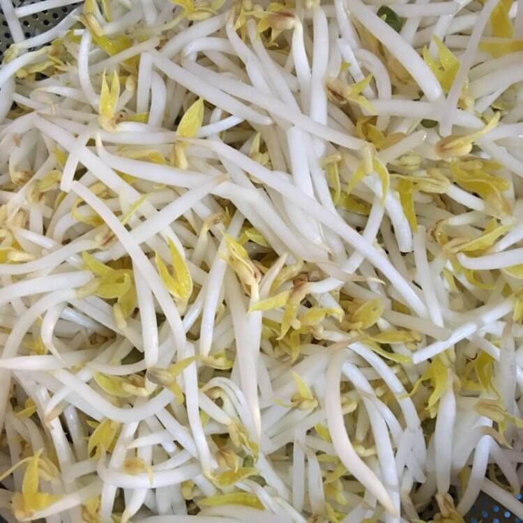 绿豆芽