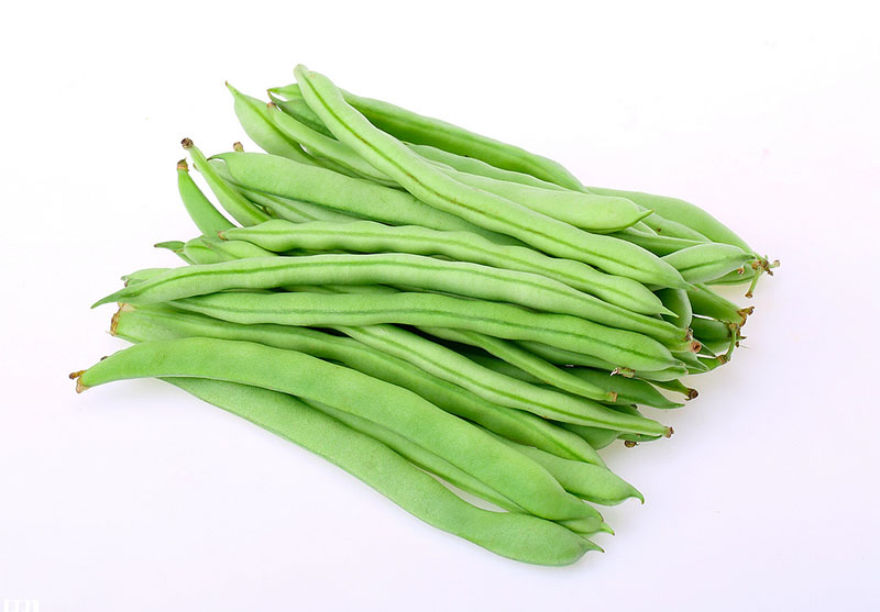 四季豆