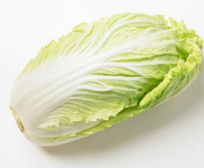 白菜